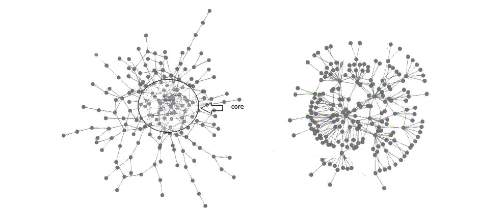 Assortative & Disassortative Network